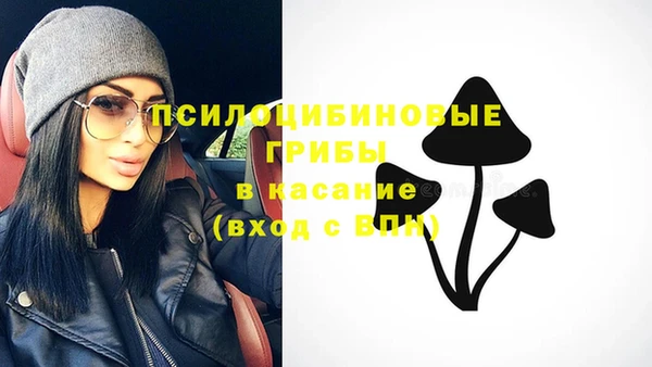ГАЛЛЮЦИНОГЕННЫЕ ГРИБЫ Алексин