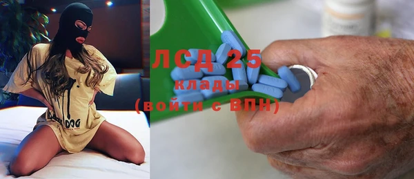 ГАЛЛЮЦИНОГЕННЫЕ ГРИБЫ Алексин