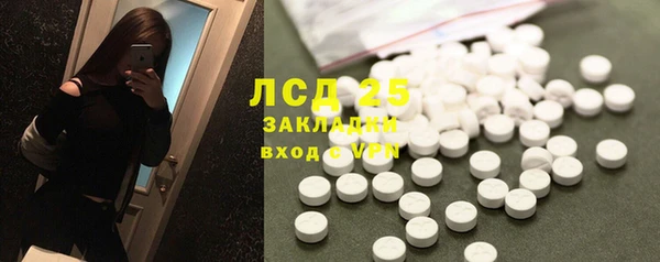 ГАЛЛЮЦИНОГЕННЫЕ ГРИБЫ Алексин