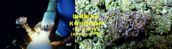 ГАЛЛЮЦИНОГЕННЫЕ ГРИБЫ Алексин
