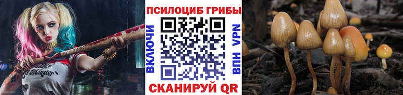 Псилоцибиновые грибы ЛСД блэк спрут зеркало Заволжск